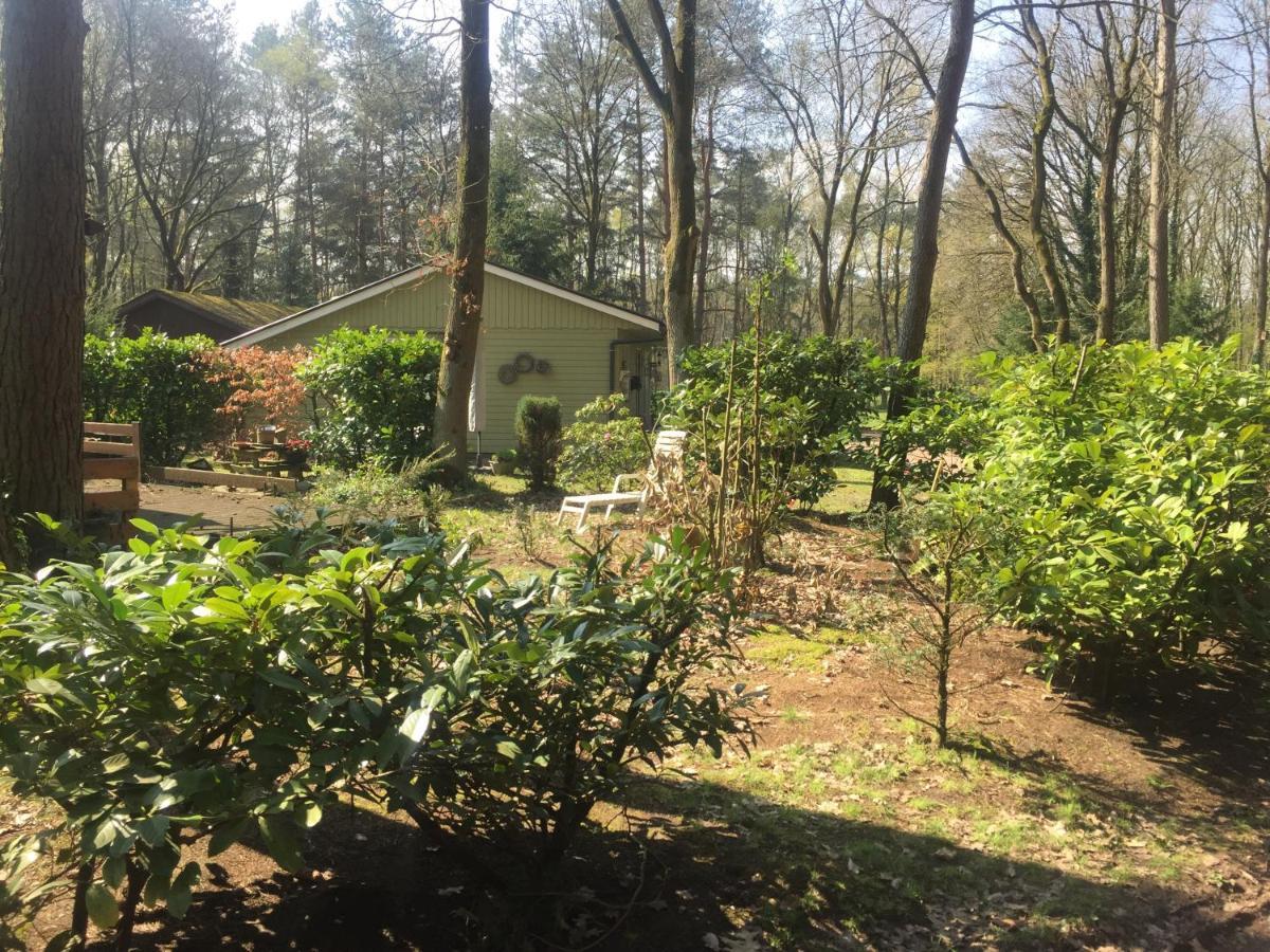 Chalet Sint Barbara 주텐달 외부 사진